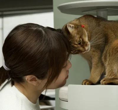 AboutCatlogSectionPhoto